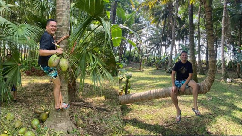 ¿Sabías que existe un tour del coco? (+ video)