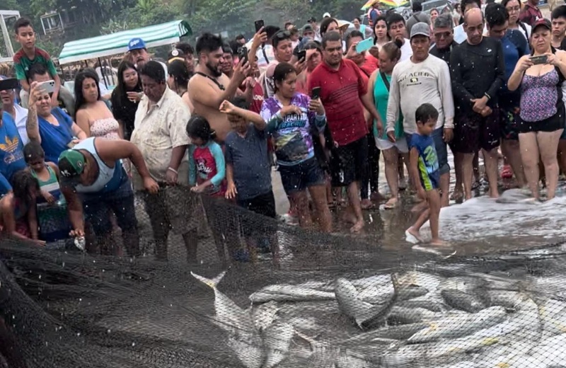 Sacan más de 2 toneladas de pescado en Veracruz