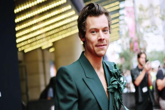 El Talento Ocuto de Harry Styles