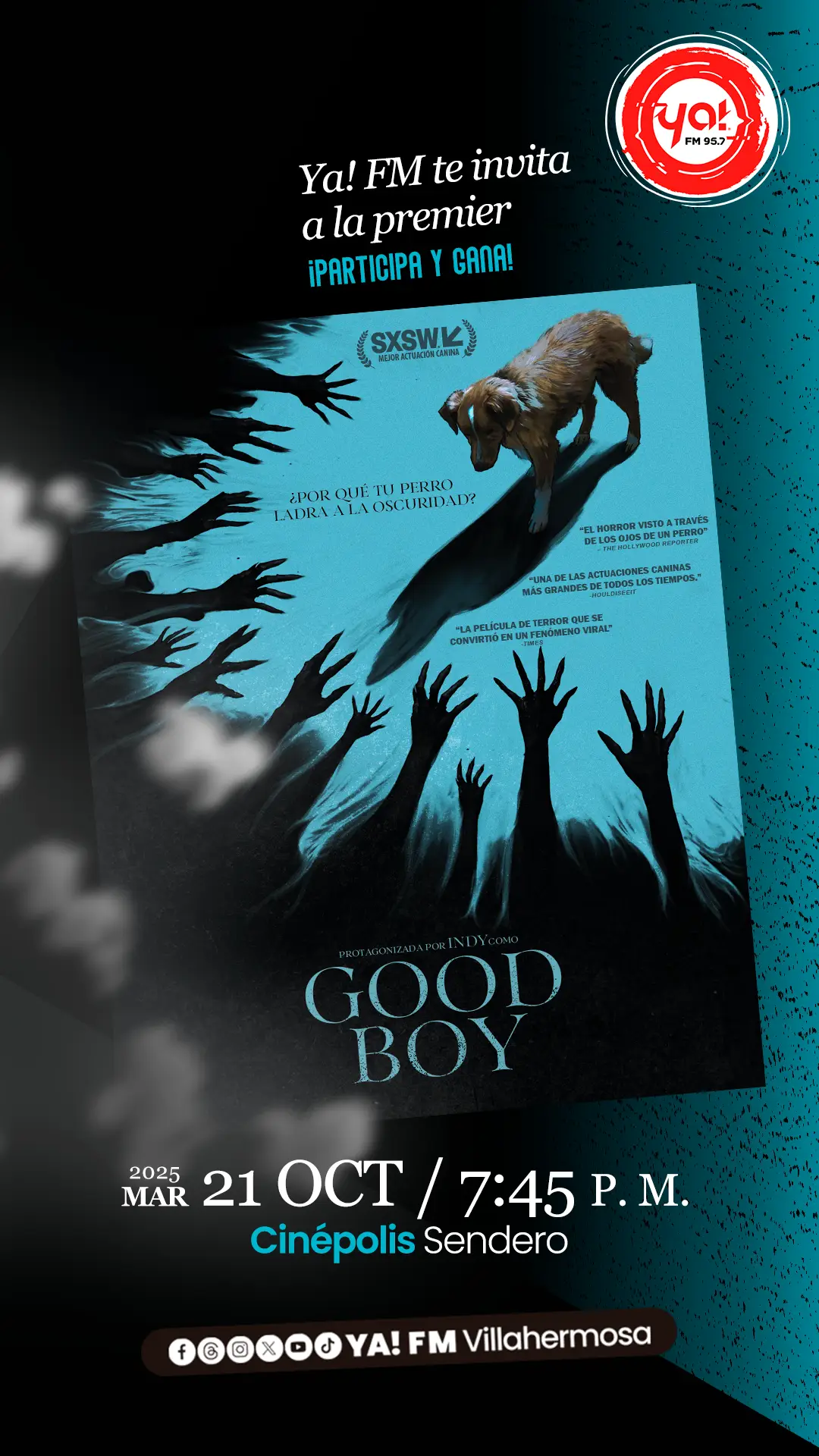 Premier "Good Boy"