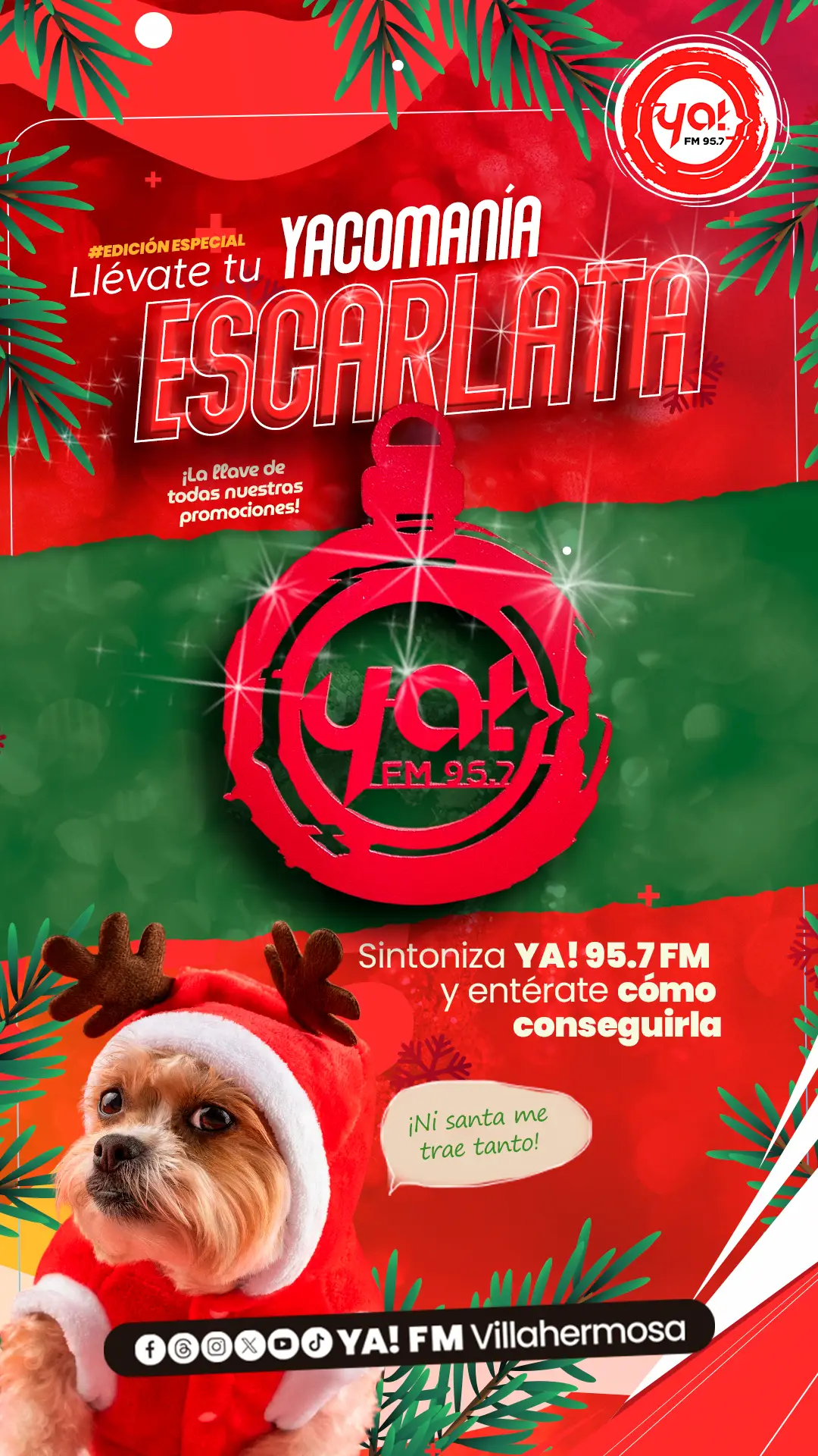 Yacomania "Escarlata"